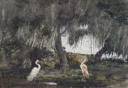 Winslow Homer At Tampa (mk44) painting